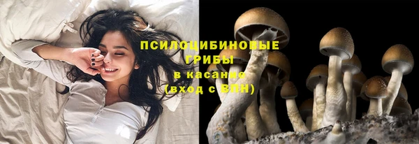 MDMA Premium VHQ Медвежьегорск