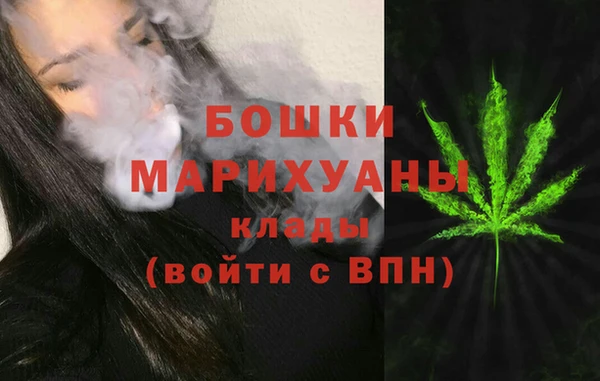спайс Мегион