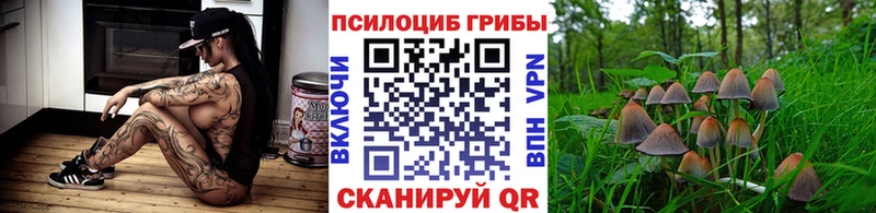 Купить где  Невель  Галлюциногенные грибы GOLDEN TEACHER 